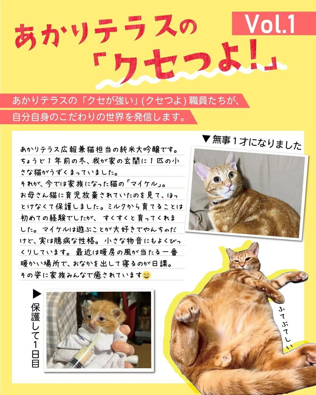 【スタッフブログ】あかりテラスの「クセつよ！」【Vol.1】